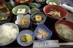 Eating Shojin-Ryori Koya San