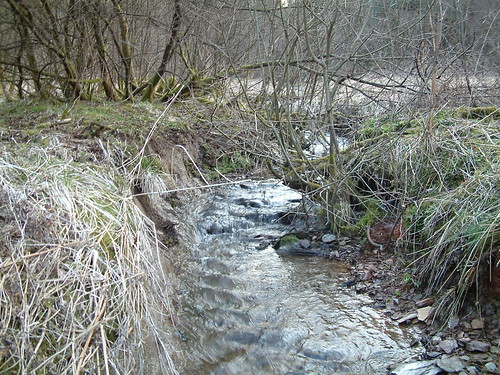 The stream running though our land