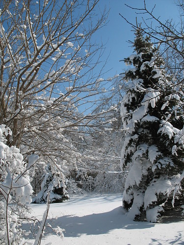 https://farm1.static.flickr.com/44/112508205_0b8c04be45.jpg