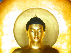 Buddha   LBC shrineroom closeup