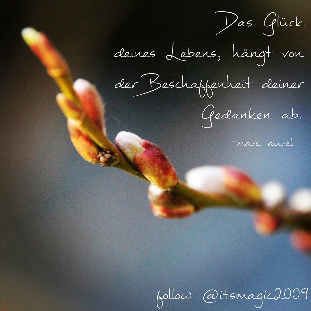 "Quotes and Sayings" itsmagic2009 Tags macro spring bokeh quotes sayings