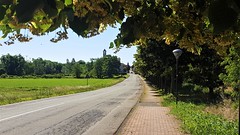 Via Francigena - Pavia - Santa Cristina