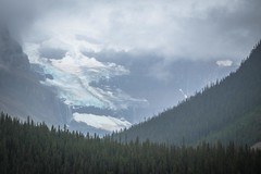 Stutfield Glacier in Jasper National Park.