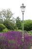 Botanischer Garten Berlin • <a style="font-size:0.8em;" href="http://www.flickr.com/photos/25397586@N00/19581324839/" target="_blank">View on Flickr</a>