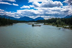 Looking south over the Athabasca River; near Jasper.