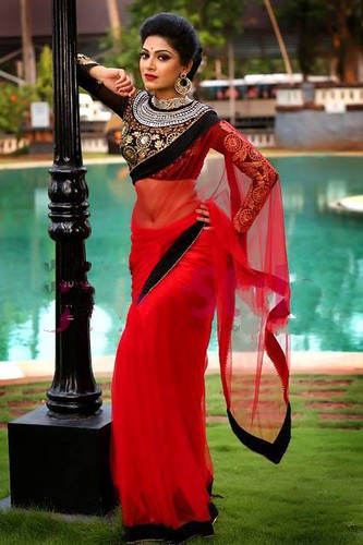 Malayalam actress hot saree photos
