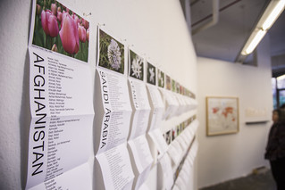 Flower Charts Sorting the Names of Guantánamo Detainees by Country
