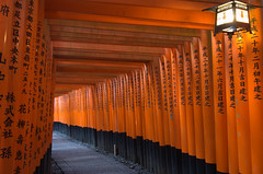 Fushimi Inari Shrine at dawn