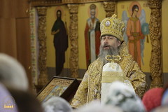 132. Празднование 70–летия архиепископа Алипия