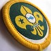 the national scout badge 