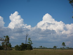 Anglų lietuvių žodynas. Žodis cumulus cloud reiškia cumulus debesų lietuviškai.