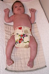 New Cloth diapers