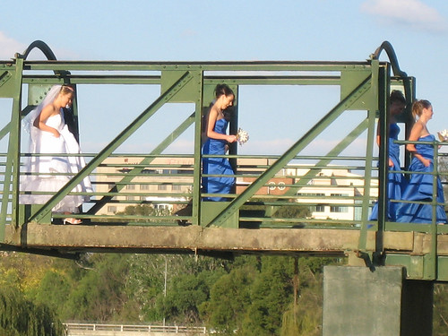 wedding party on bridge