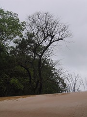 Kollibacchalu Dam -Malenadu Heavy Rain Effects Photography By Chinmaya M.Rao (48)