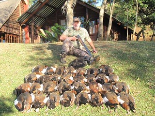 South Africa Bird Hunting 25