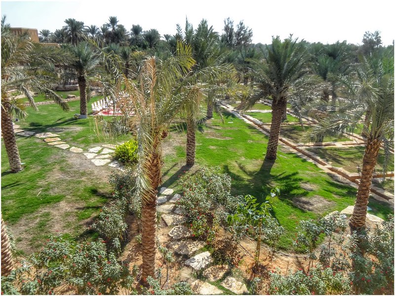 Lush Gardens of the historical Diriyah - Wadi Hanifah in Riyadh - Saudi Arabia. Paradise in the desert!<br/>© <a href="https://flickr.com/people/128272548@N02" target="_blank" rel="nofollow">128272548@N02</a> (<a href="https://flickr.com/photo.gne?id=18413238022" target="_blank" rel="nofollow">Flickr</a>)