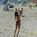 Ceu_voley_playa_2015_141 • <a style="font-size:0.8em;" href="http://www.flickr.com/photos/95967098@N05/17985914593/" target="_blank">View on Flickr</a>