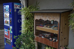 Vending machine (left) and plastic food display (right)