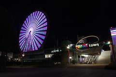 Ferris wheel Odaiba
