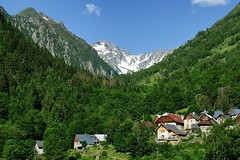 Anglų lietuvių žodynas. Žodis alp reiškia n  knyg. kalno viršūnė; kalnas 2 alpinės ganyklos/pievos lietuviškai.