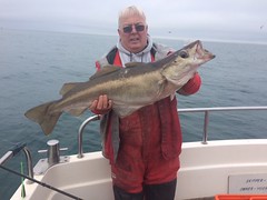 Roy Shipway with 15lb Pollack • <a style="font-size:0.8em;" href="http://www.flickr.com/photos/113772263@N05/31733179800/" target="_blank">View on Flickr</a>