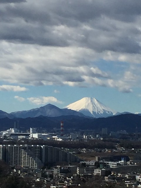 毎日違う姿を見せる富士山です。冬は特に近...
