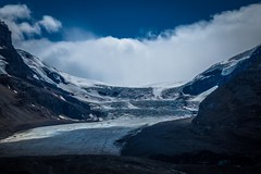 One of the many beautiful glaciers in the Columbia Icefields.