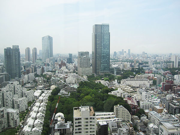 赤坂の34階ですが、こういう都心の眺望も...
