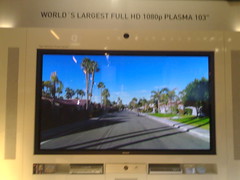 plasma tv with palm trees