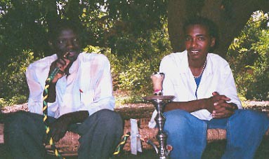 Chicha in Sawagi Janubiyya, Kassala, Sudan الشيشة في السواقي الجنوبية, كسلا, السودان