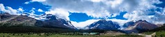 Panorama of the Columba Icefields in Jasper Nat'l Park.