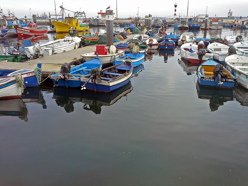 Fishing Harbour<br/>© <a href="https://flickr.com/people/62788518@N06" target="_blank" rel="nofollow">62788518@N06</a> (<a href="https://flickr.com/photo.gne?id=31978067192" target="_blank" rel="nofollow">Flickr</a>)
