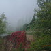 Niebla Montserrat 2