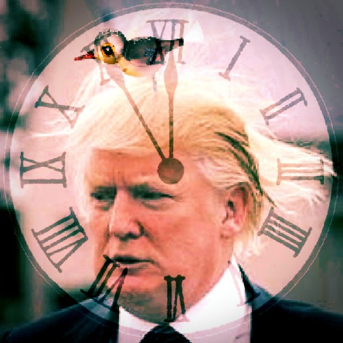 The clock ticks down.  Will he still be in the U.S. when it strikes noon on January 20, 2021?