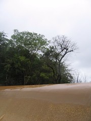 Kollibacchalu Dam -Malenadu Heavy Rain Effects Photography By Chinmaya M.Rao (49)