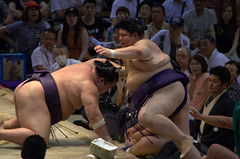 You need to pay attention if you're sitting next to the dohyo