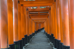 Another Fushimi Inari Shrine tunnel
