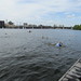 Secretary Beaton swims at Charles River Conservancy's CitySplash event • <a style="font-size:0.8em;" href="http://www.flickr.com/photos/43014923@N02/19693381416/" target="_blank">View on Flickr</a>