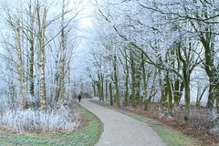 Natuur park Lelystad
