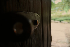 Anglų lietuvių žodynas. Žodis door-hinge reiškia durų rankena lietuviškai.