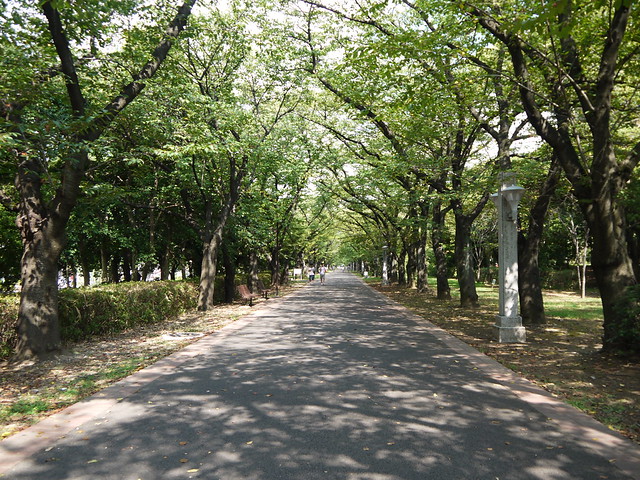 辰巳の森綠道公園