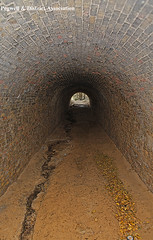 Pegwell Bay Seaweed Tunnel