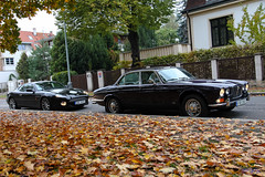 Jaguar XJ6 Series 1, 1972, Black Tulip and DB7 Vantage    27