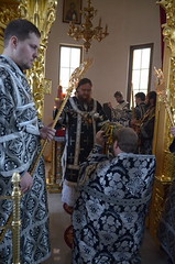 JPR_7403_новый размер