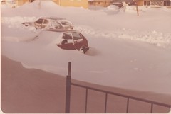 The aftermath of the blizzard. ((ThorntonWeather.com)