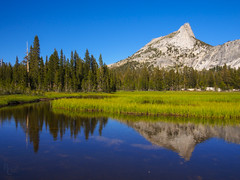 Cathedral Reflections
