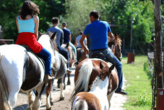 Anglų lietuvių žodynas. Žodis equestrians reiškia arkliai lietuviškai.
