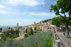Assisi (40)