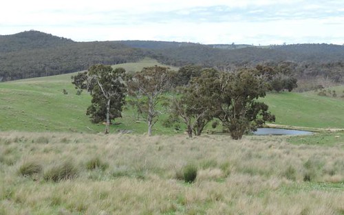 Lot 2 Middle Arm Road, Middle Arm NSW 2580