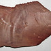 Buffalo River Flint (attributed to the Ft. Payne Formation, Lower Mississippian; Tennessee, USA) 3